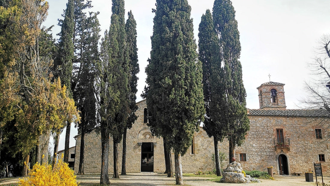 Historisches Landgut in der Toskana – Herkunft italienischer Spezialitäten