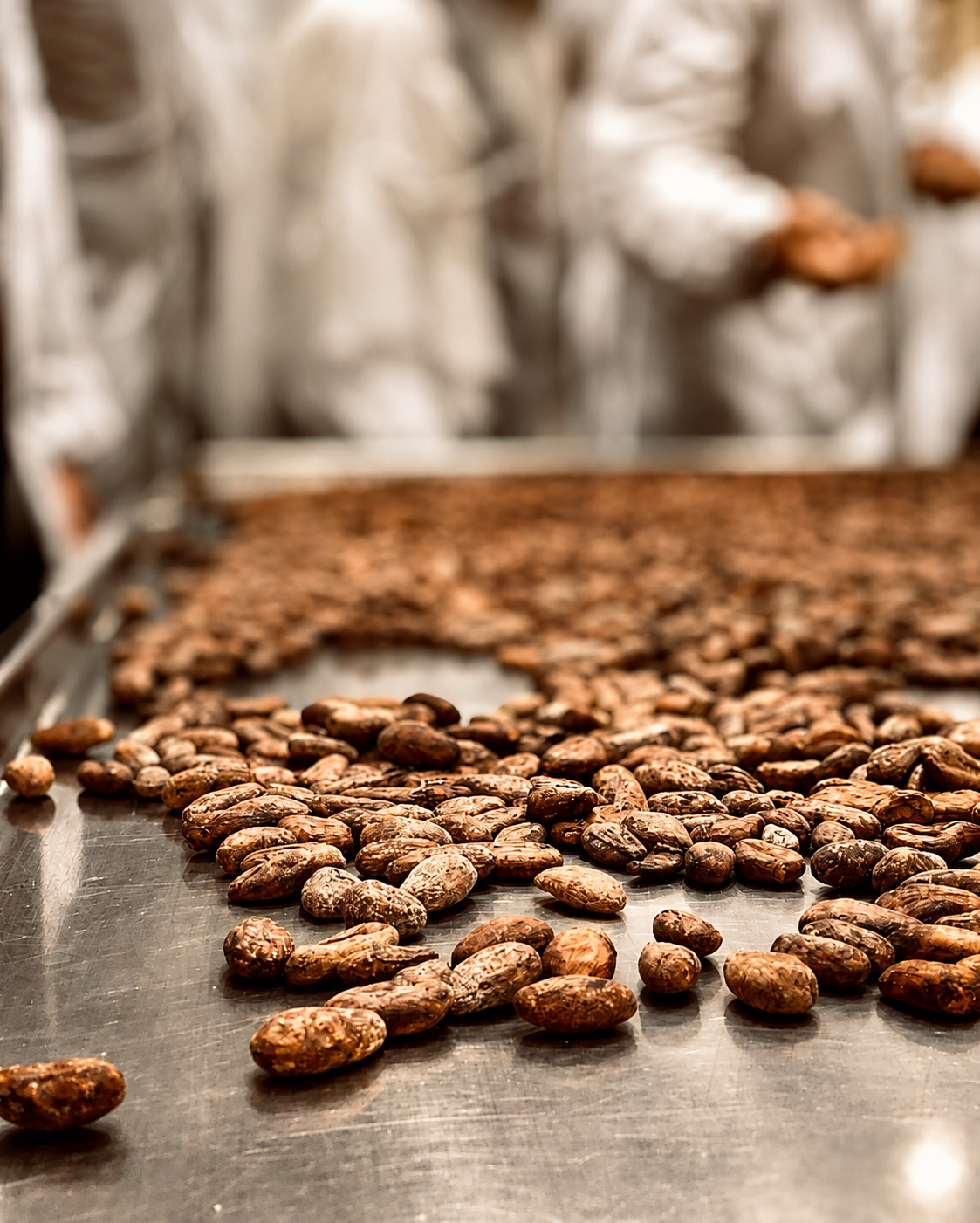 Pralinen mit cremiger Kakaofüllung aus Milch- & Zartbitterschokolade, 120 g